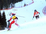 Silvia in azione nel SuperG dei mondiali 2004