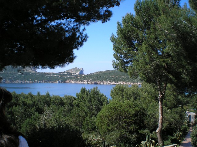 Mentre esploriamo il territorio, il mare fa la sua stupenda e scenografica comparsa tra gli alberi verdi, abbracciato anche dalle colline lontane.