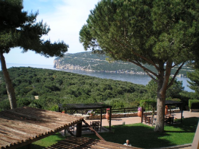 Il mare visto da un balconcino panoramico spicca tra gli alberi. Appena sotto al ballatoio si vede il sentierino impervio che per tante volte ci e' toccato affrontare!