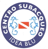 Logo Idea Blu