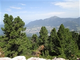 Vallata tra gli alberi dall'arrivo della seggiovia salendo verso il Paion.