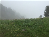 Monti immersi nella nebbia.