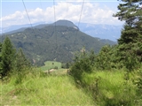 Monti ed alberi