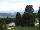 Vallata sopra Pampeago