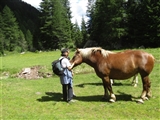 Coccolina accarezza il cavallo