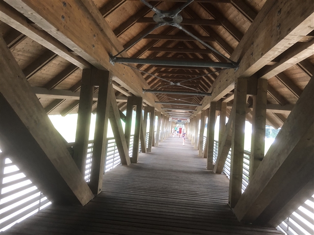 Il ponte di legno di Molina.