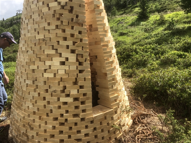 Torre di legno di cirmolo col suo ingresso.