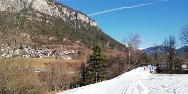 Pista della Marcialonga vista da Tesero.