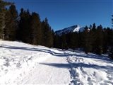 Stradina innevata da Lavazè a Malga Ora.