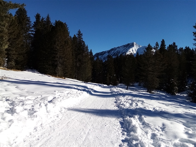 Stradina innevata da Lavazè a Malga Ora.