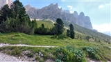 Cime rocciose svettano sopra prati ed alberi.