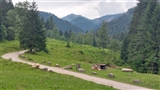 La stradina serpeggia nella verde vallata tra i monti.