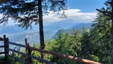Una stupenda vallata si apre tra gli alberi oltre la staccionata.