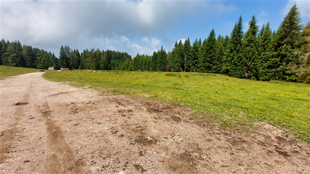 Nei pressi di malga Ora ampi prati verdi con alberi in lontananza.