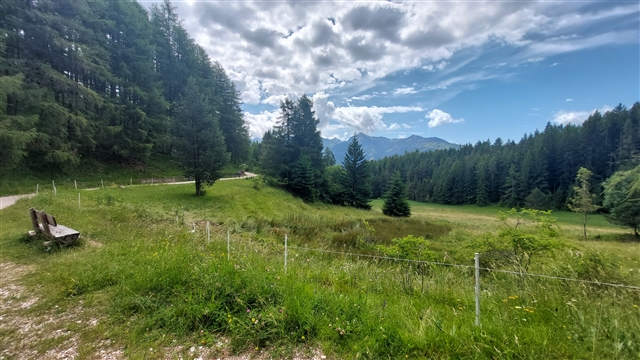 Una stupenda vallata facendo il giro del Solombo con alberi e monti che incorniciano questa vallata meravigliosa.