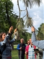 Foto Di Gruppo 2
