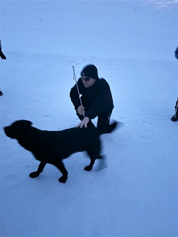 Gray sulla neve con Florinda accovacciata